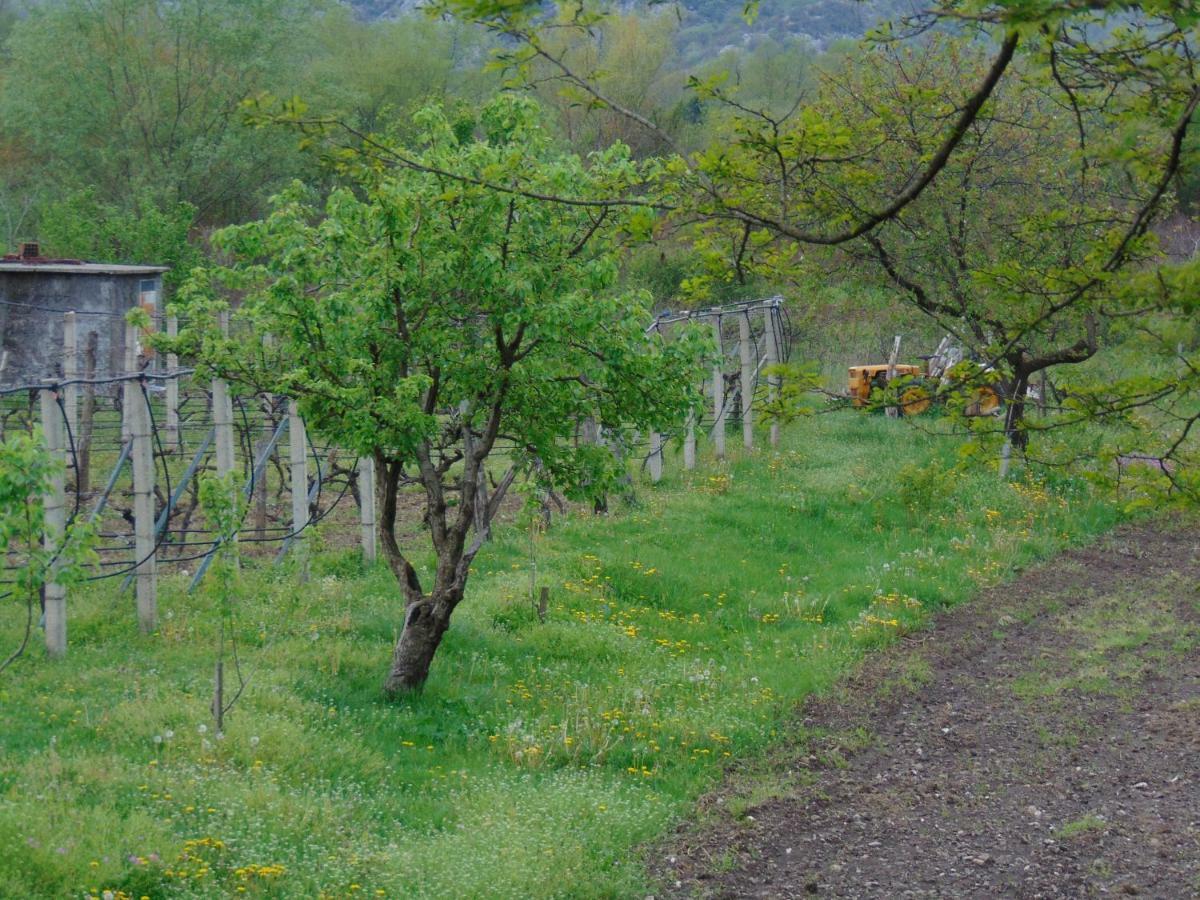 Studio And Winery Kalimut Affittacamere Virpazar Esterno foto